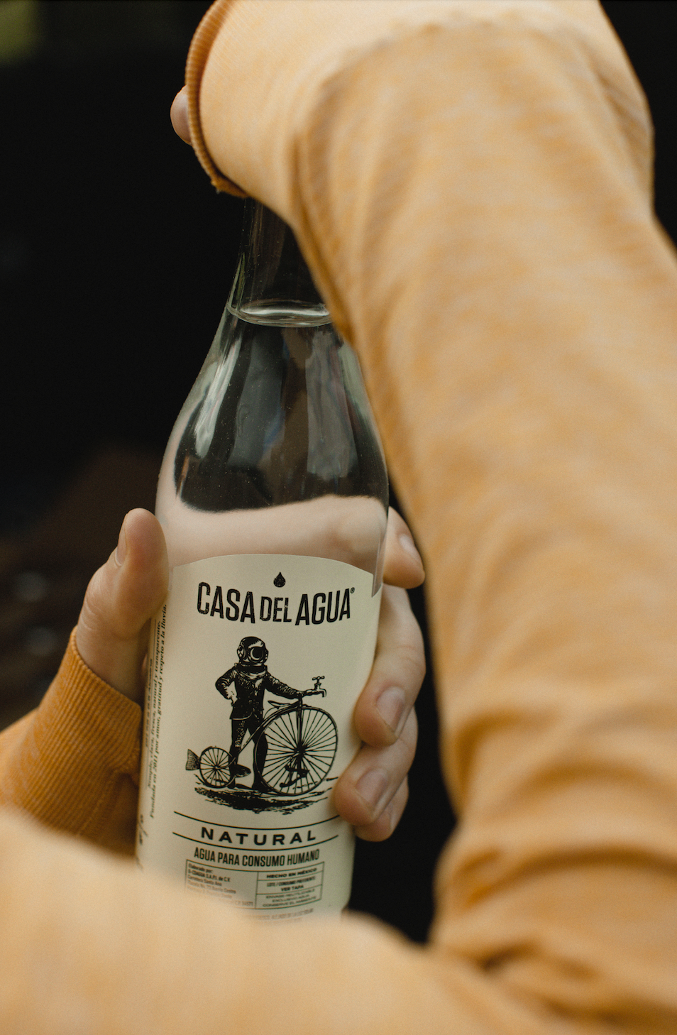 Agua Natural Alcalina 600 ml – Caja con 12 piezas